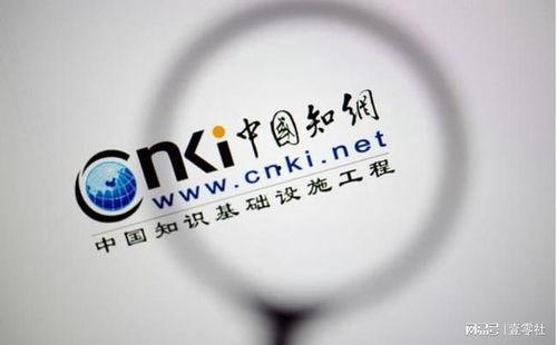 中国知网吃瓜论文,从“吃瓜”现象看网络舆论场中的信息传播与价值观引导
