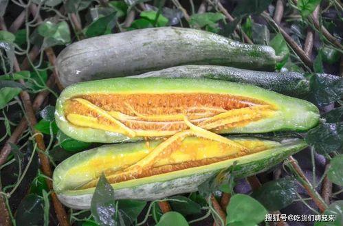 网红佳伟吃瓜,一场吃瓜盛宴背后的故事