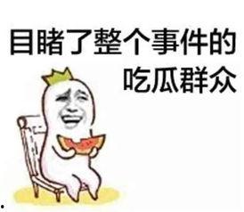 热心朝阳群众吃瓜网51,揭秘网络舆论背后的真相