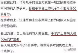 网红吃瓜群众话题作文,揭秘网络舆论场的众生相