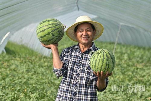 侃侃吃瓜网入口,带你走进热门话题的聚集地