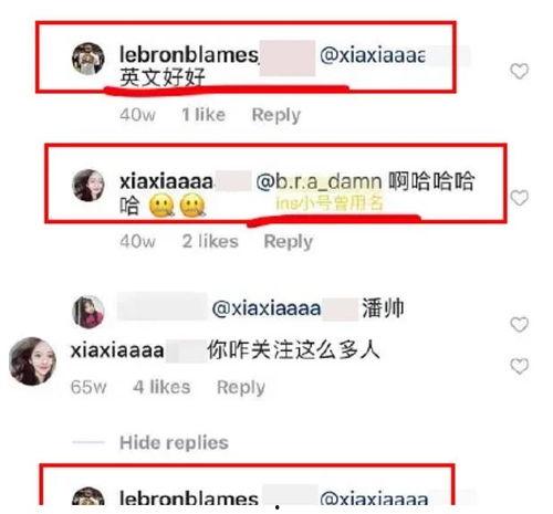 吃瓜网红事件网站,网络舆论的风暴与真相
