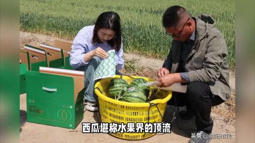 盐城吃瓜网,揭秘盐城美食圈的那些事儿