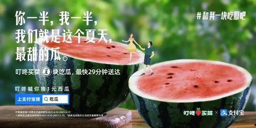 吃瓜甜网,带你领略网络世界的甜蜜诱惑